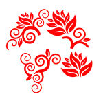 花纹