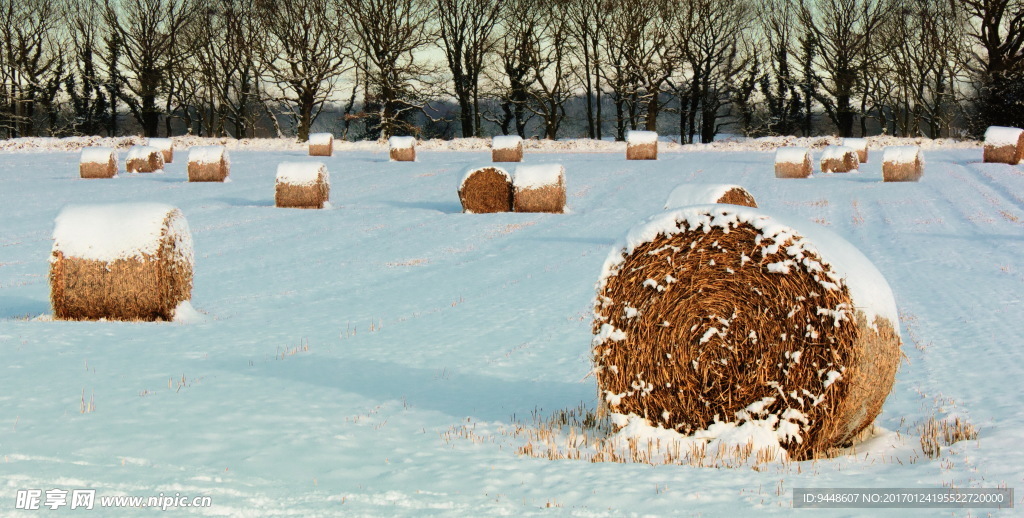 冬季雪地草垛图片