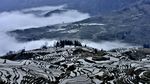 元阳梯田