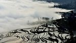 元阳梯田