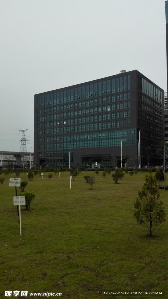 草坪美景