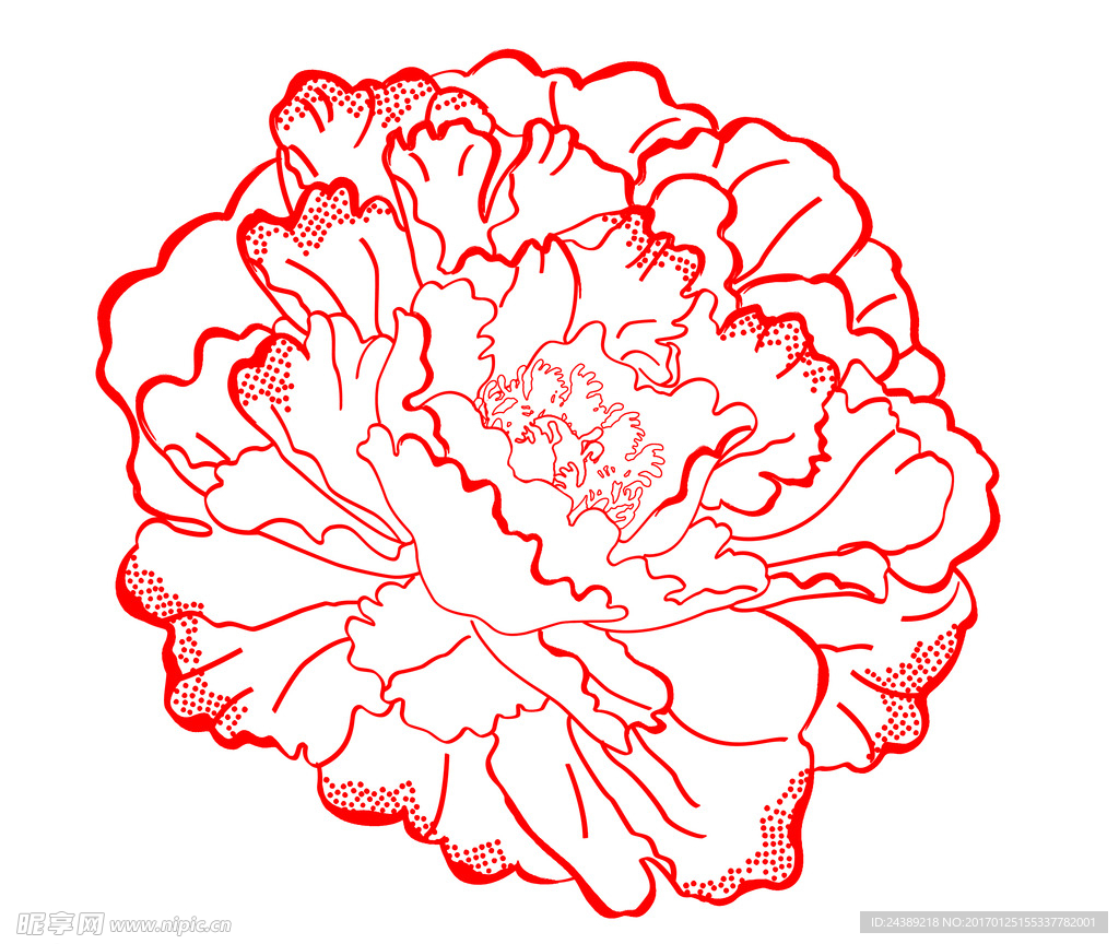 线条牡丹花
