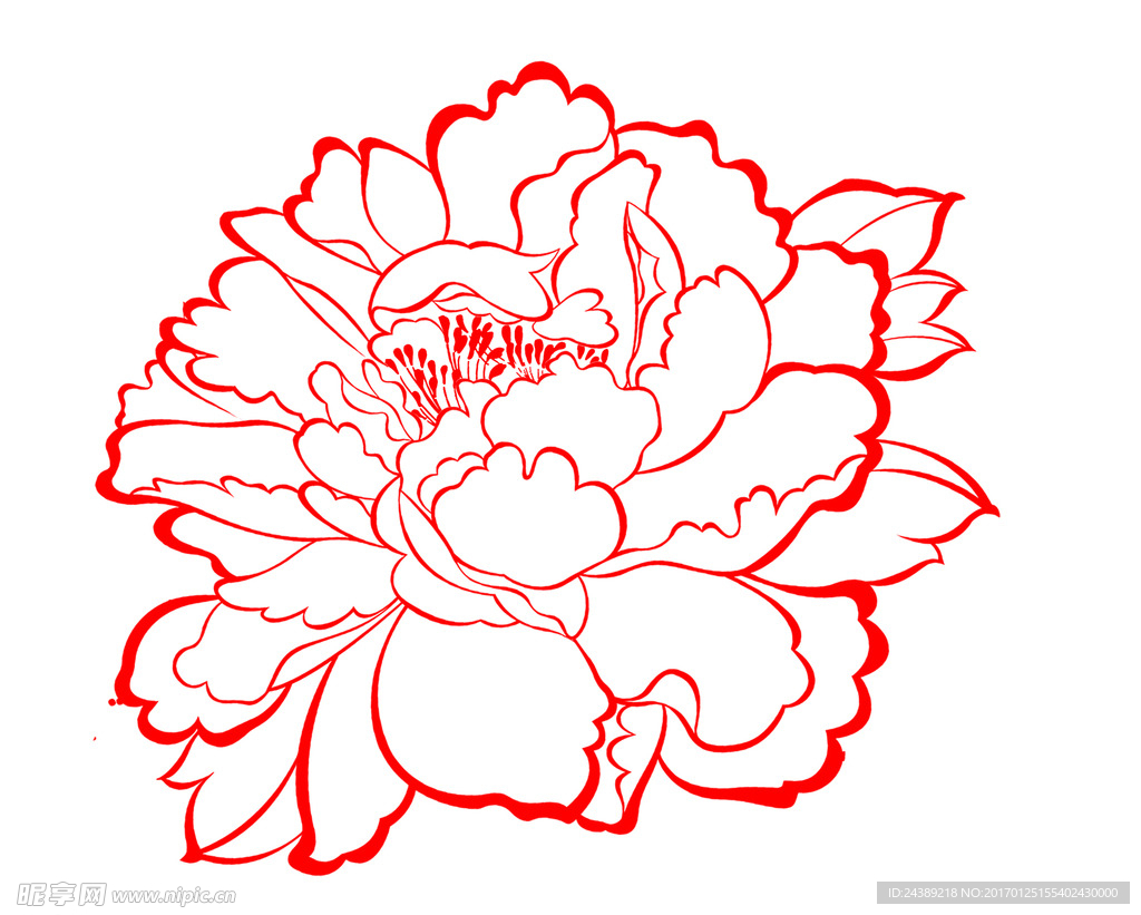线条牡丹花