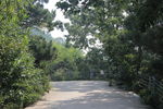 首山风景