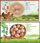 盒装鸡蛋包装 标贴