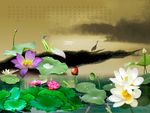 轻描淡写荷花图片