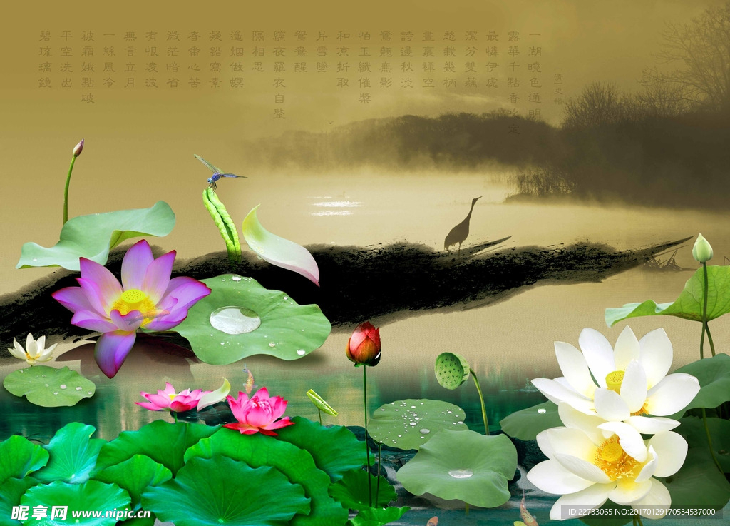 轻描淡写荷花图片