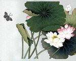 国画荷花源文件