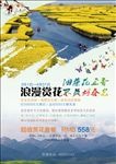 婺源油菜花海报