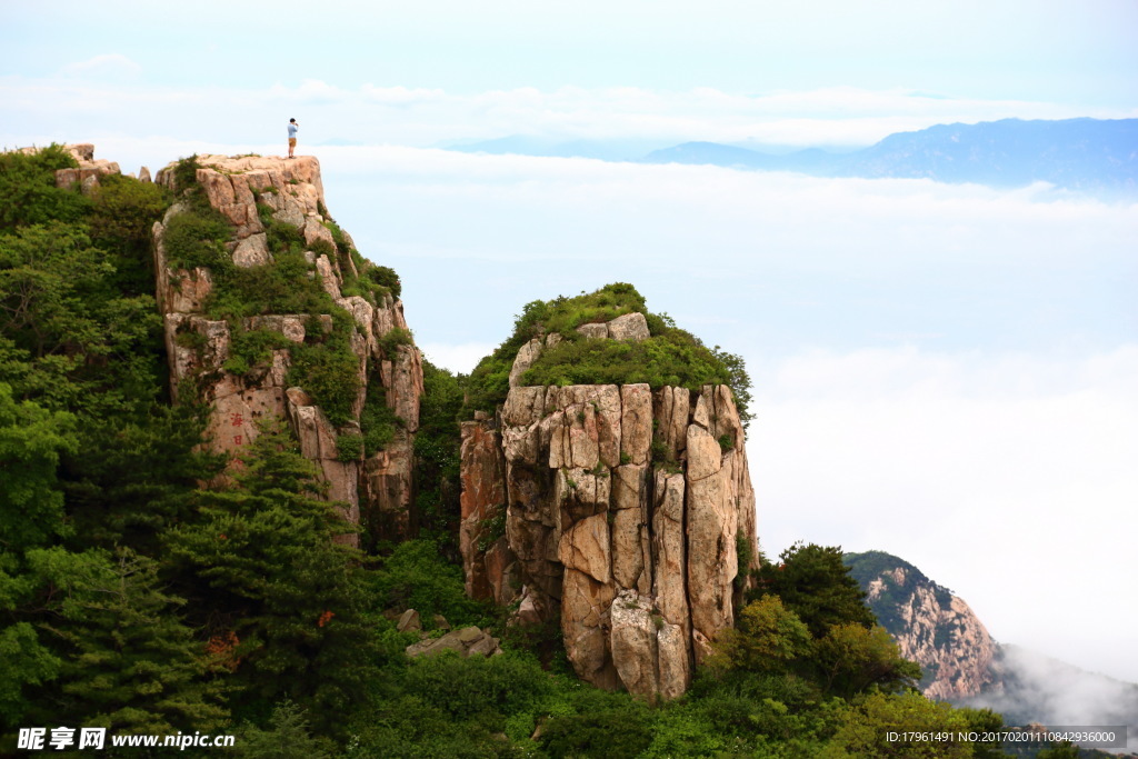 泰山
