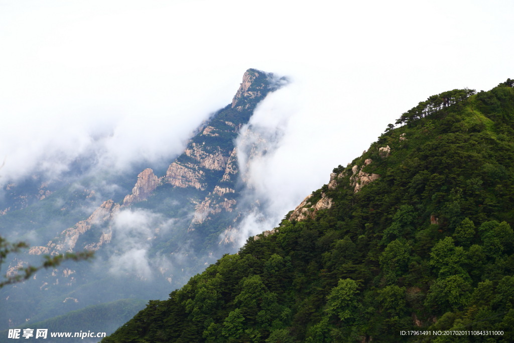 泰山