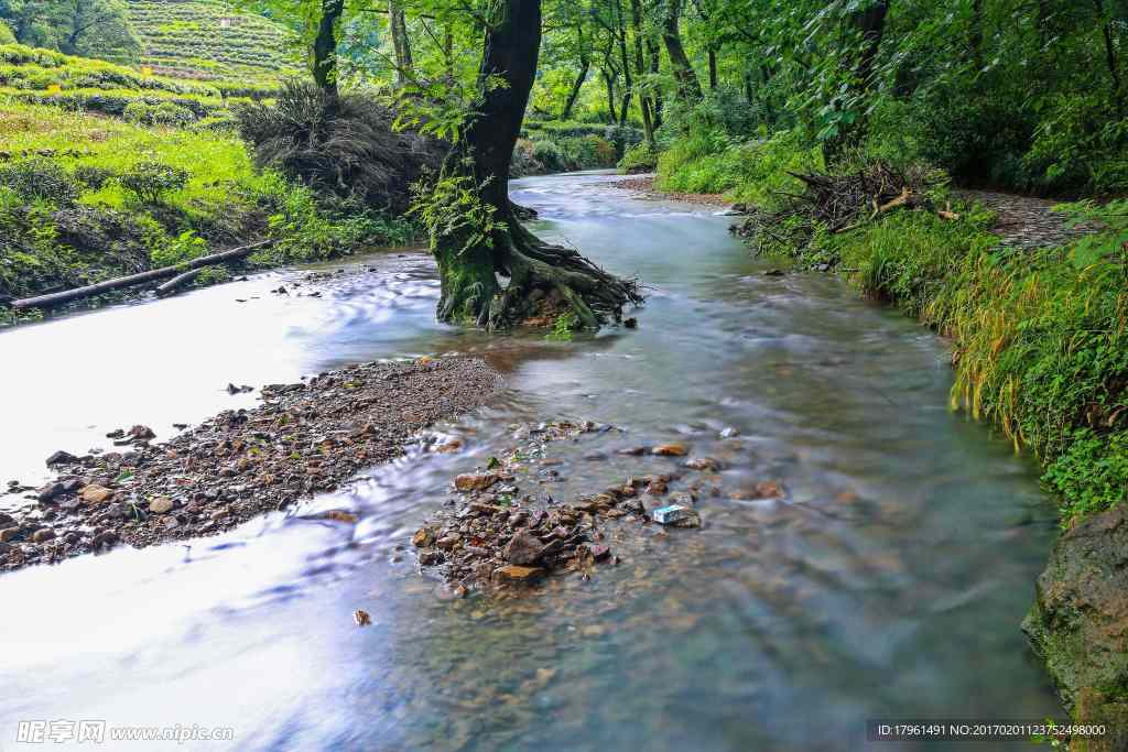 九溪湿地