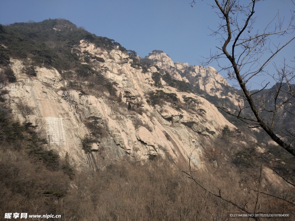 泰山