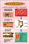 肠道保健