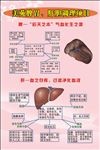 肝胃保健