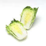 大白菜
