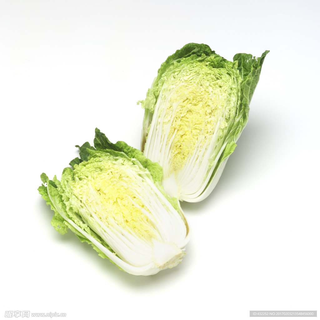 大白菜