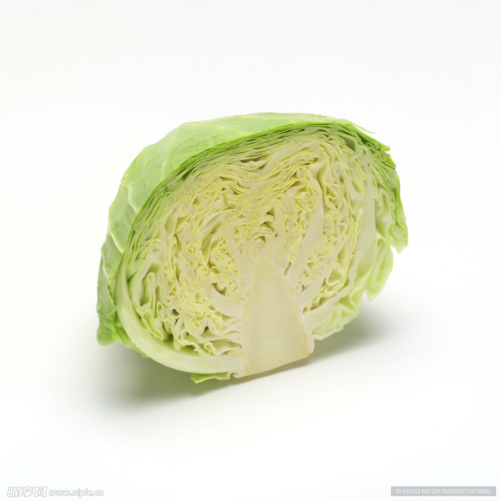 洋白菜