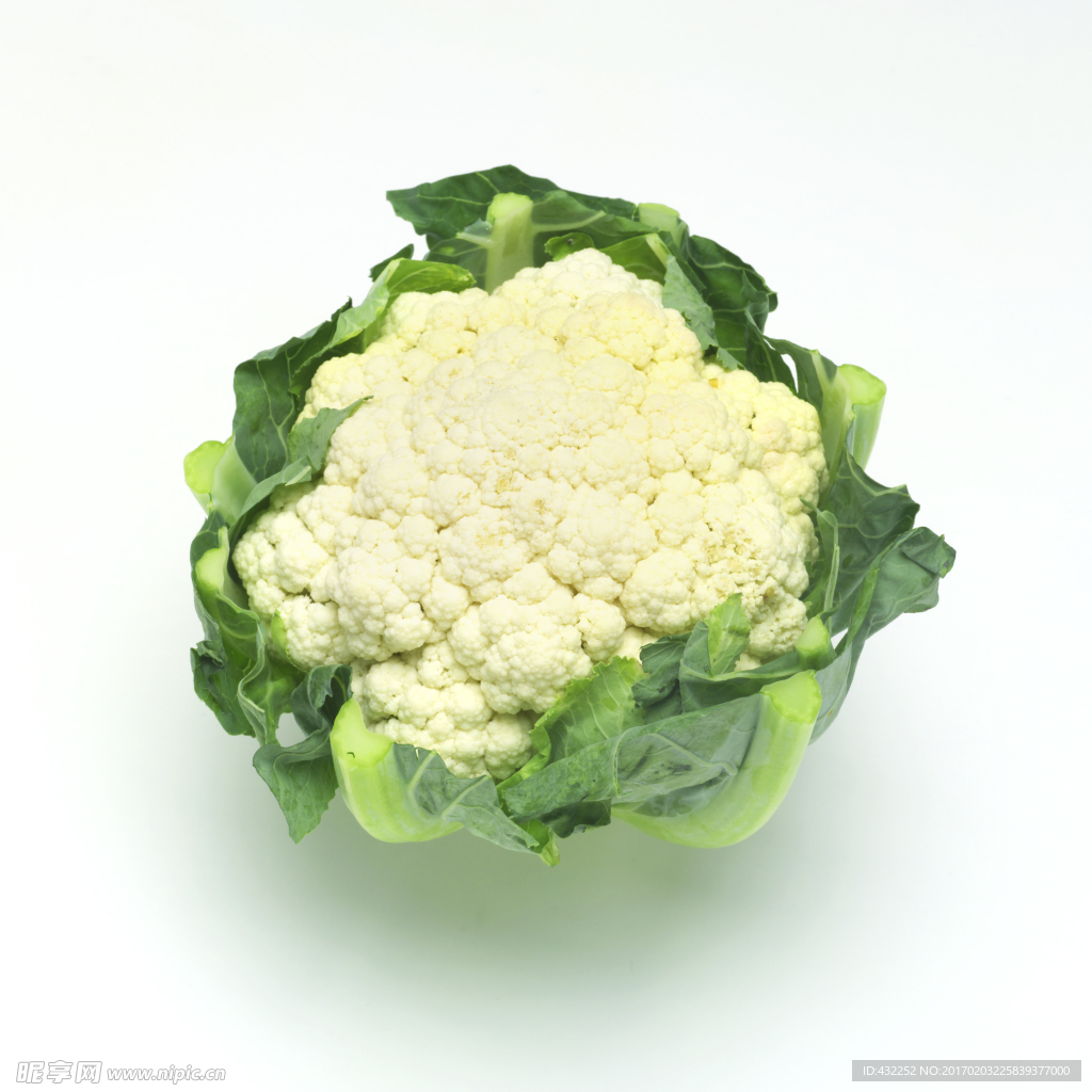菜花