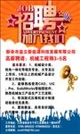 能源公司招聘