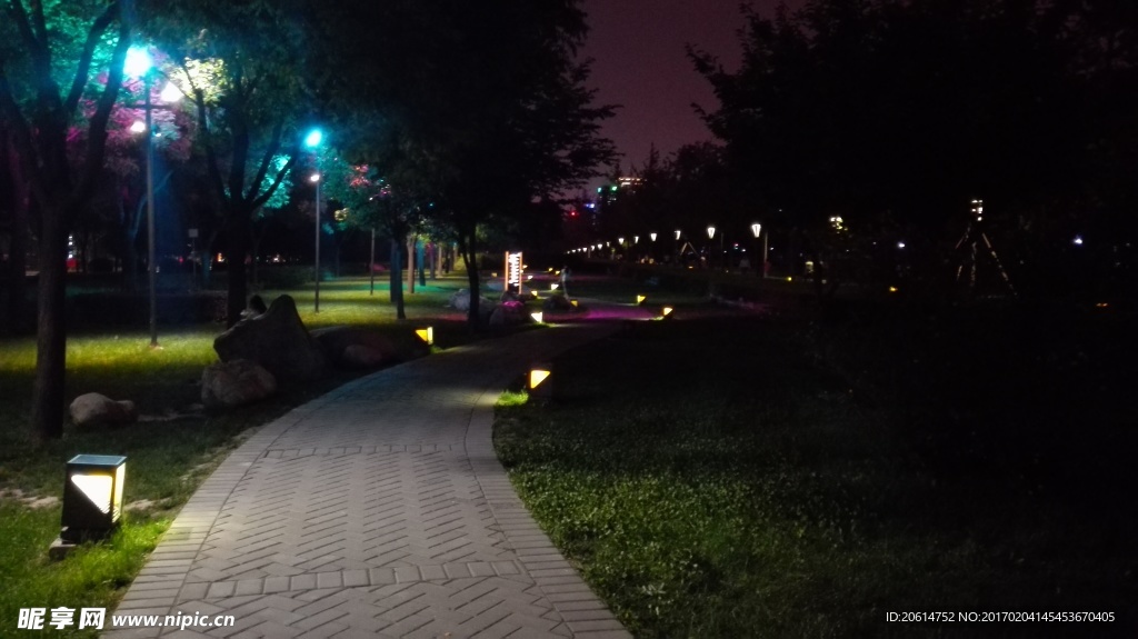 夜色下的公园