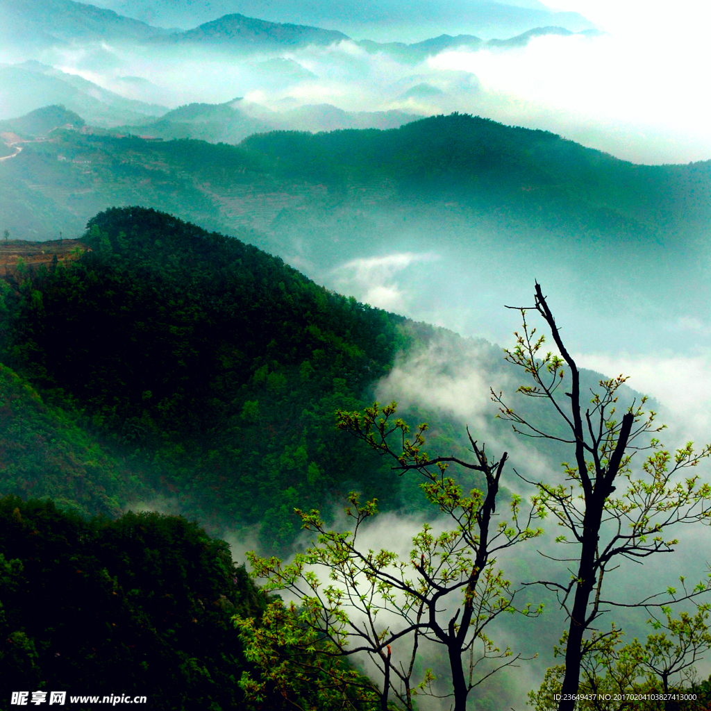 风景 高山 大山云图