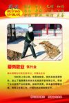 道德模范