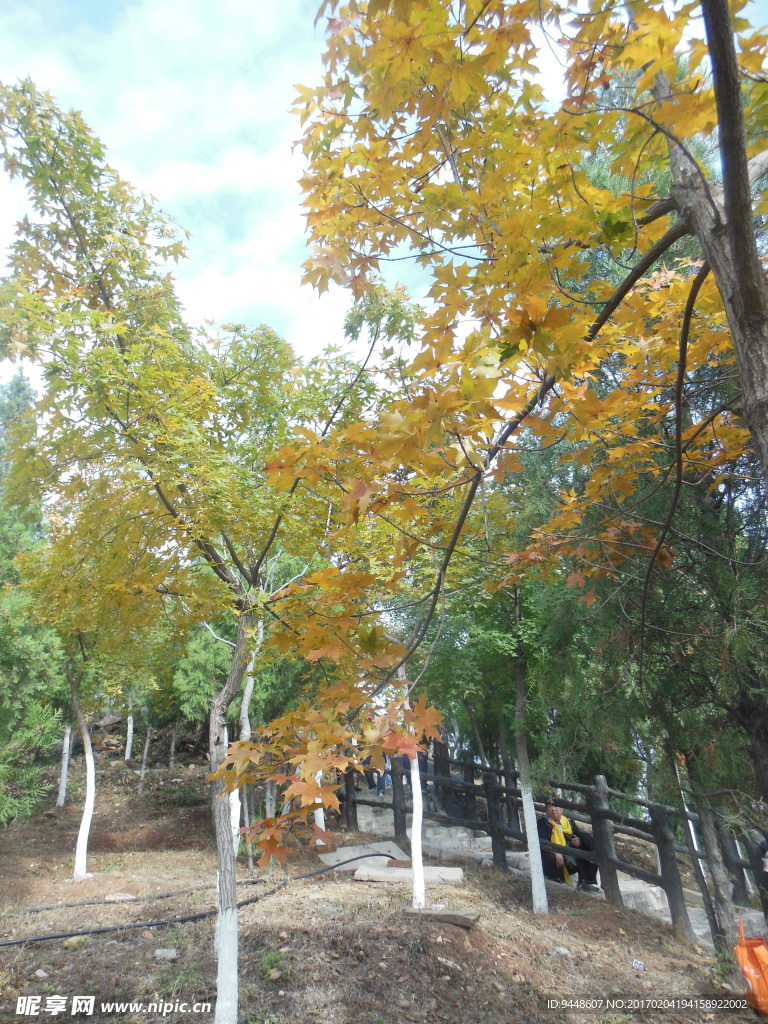 秋天风景