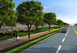 城市建筑道路
