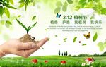 植树节
