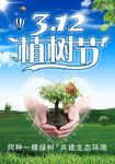 植树节