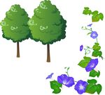 牵牛花 树木