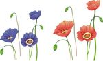 鲜花