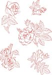 矢量玫瑰花