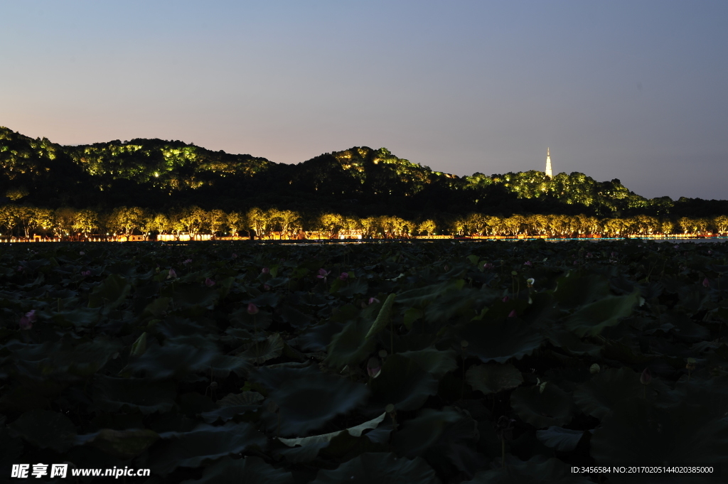 西湖保叔塔夜景