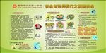 绿色校园安全展板