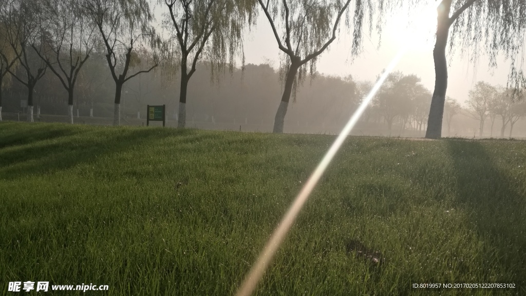 晨光