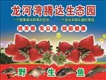 生态园海报