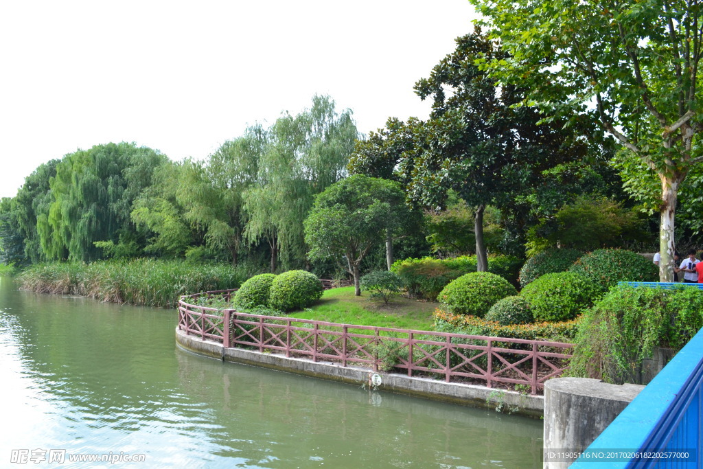 绿色小河