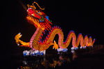 新年灯会