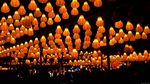 元宵节灯会