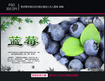 蓝莓海报