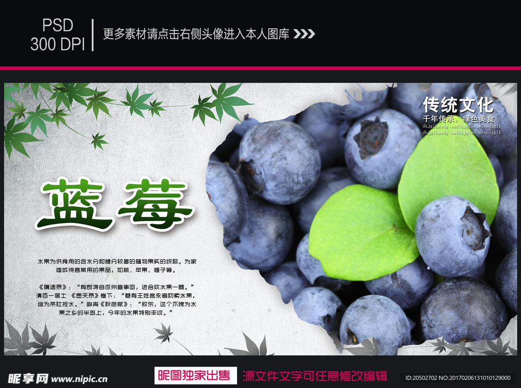 蓝莓海报