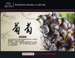 葡萄海报