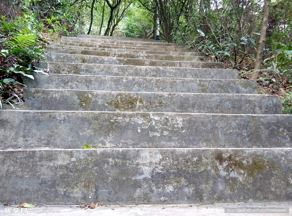 圭峰山水泥楼梯