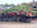 圭峰山风景区一角