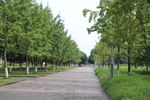 小路