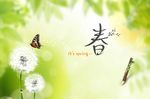 春天
