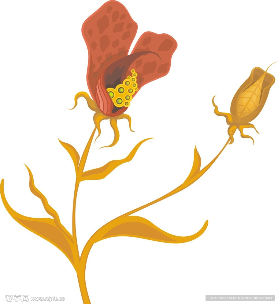 花