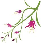 花草
